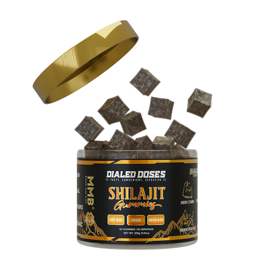 Shilajit Gummies Benefits